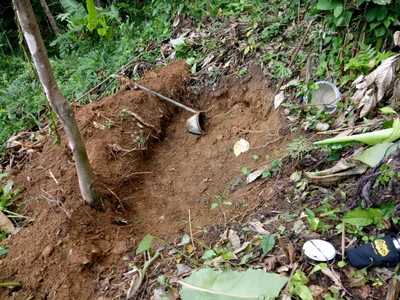 Phipun - Photo 2