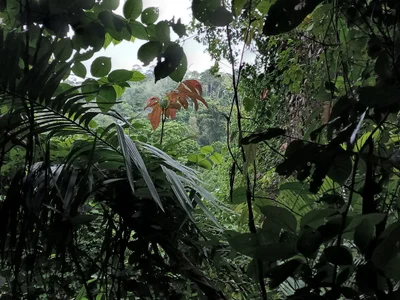 Phipun - Photo 3