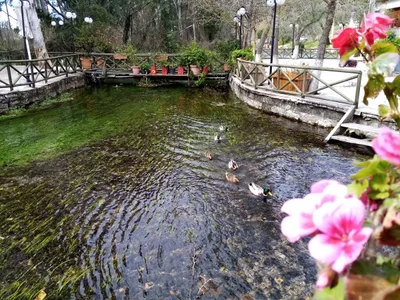 Akyaka - Photo 2