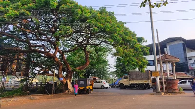Mahe - Photo 4