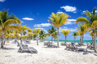 Grand Bahama Island - Photo 2