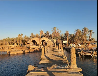 Siwa Oasis - Photo 3