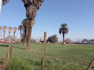 Maipu - Photo 3