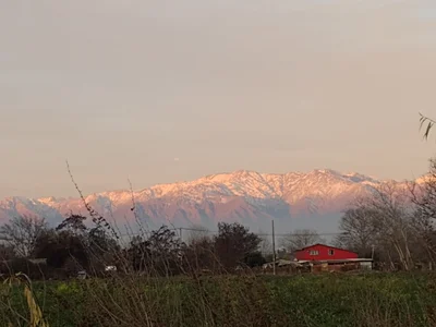 Maipu - Photo 4