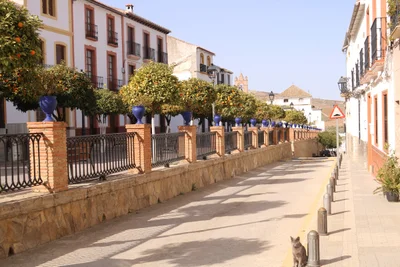 Ardales - Photo 2