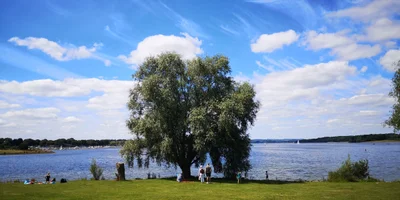 Rutland - Photo 5
