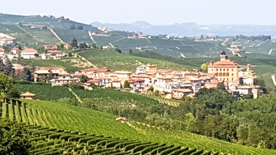 Barolo - Photo 4
