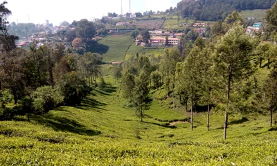 The Nilgiris District - Photo 3