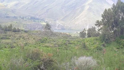 Andagua - Photo 3