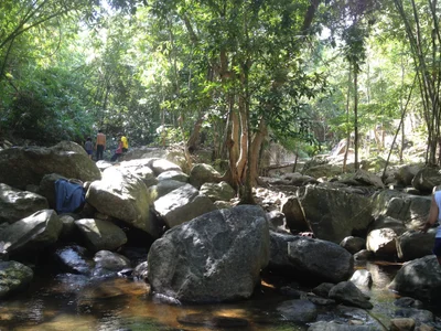 Suan Phueng - Photo 5