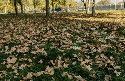 Linfen - Photo 4