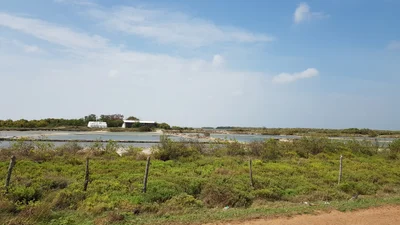 Palaviya - Photo 3