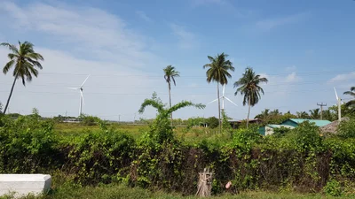 Palaviya - Photo 5