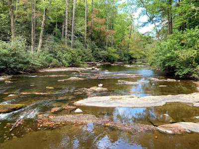 Townsend - Photo 3