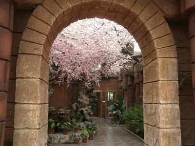 Jintan District - Photo 3