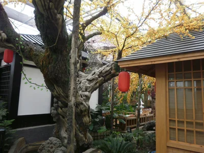 Jintan District - Photo 4