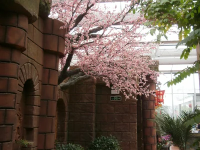 Jintan District - Photo 5