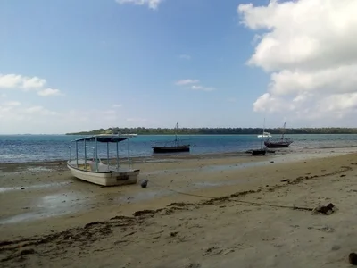 Mafia Island - Photo 2