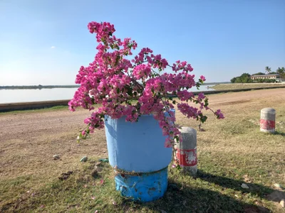 Meiktila - Photo 2