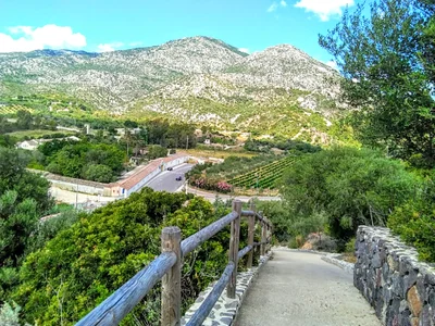 Orosei - Photo 4
