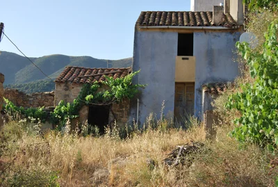 Arbus - Photo 5