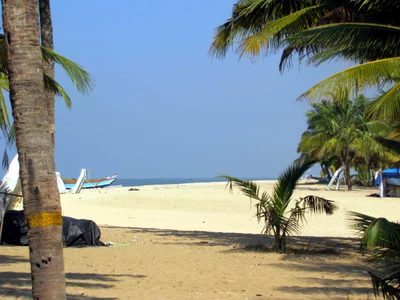 Mararikulam - Photo 3