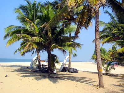Mararikulam - Photo 4