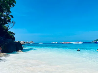 Similan Islands - Photo 5