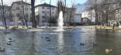Trento - Photo 4