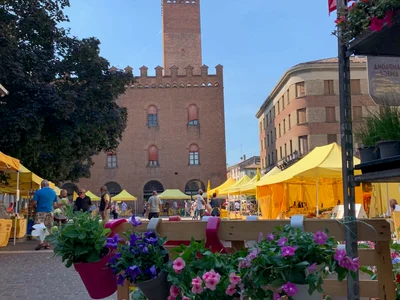 Cremona - Photo 4