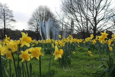 Midleton - Photo 2
