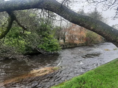 Midleton - Photo 3