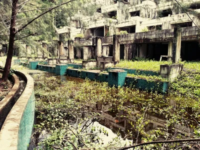 Sakhu - Photo 2
