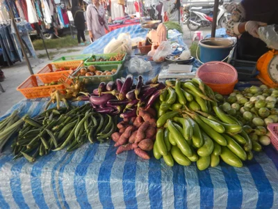 Sakhu - Photo 3