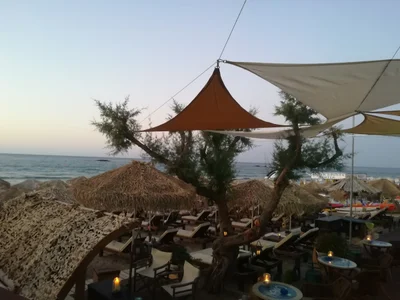 Stalis - Photo 4