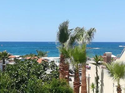 Stalis - Photo 5