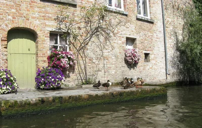 Bruges - Photo 2
