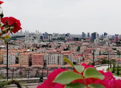 Ankara - Photo 2