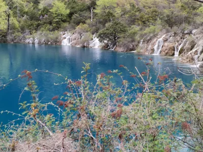 Jiuzhaigou County - Photo 2