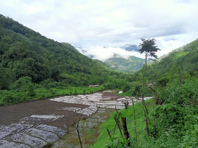 Tsona City - Photo 2
