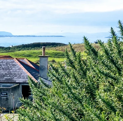Bushmills - Photo 3