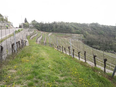 Fumane - Photo 3