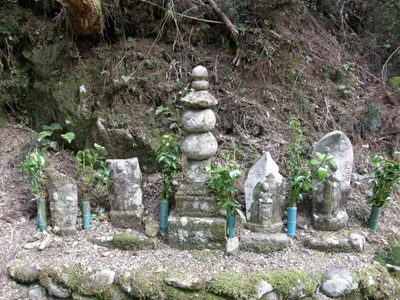 Seki - Photo 2