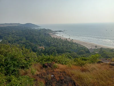 Chapora - Photo 4