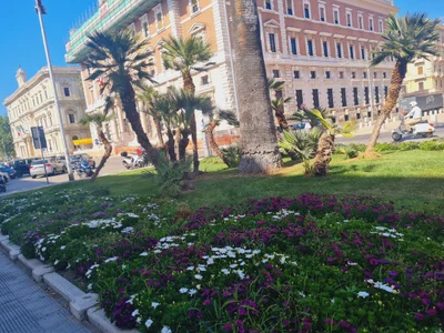 Bari - Photo 3