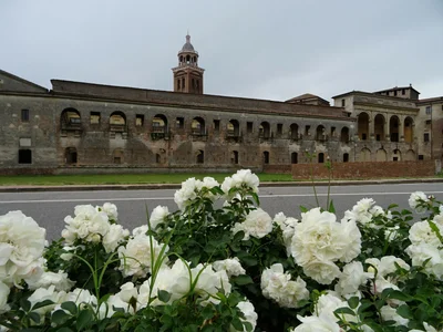 Mantua - Photo 5