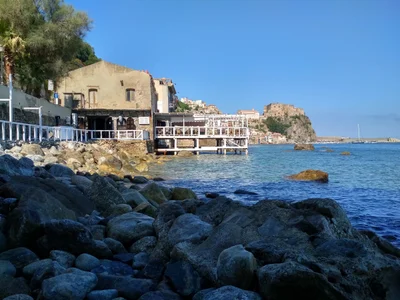 Scilla - Photo 2