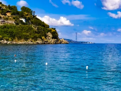 Scilla - Photo 4
