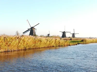 Kinderdijk - Photo 3