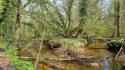 Hilvarenbeek - Photo 2